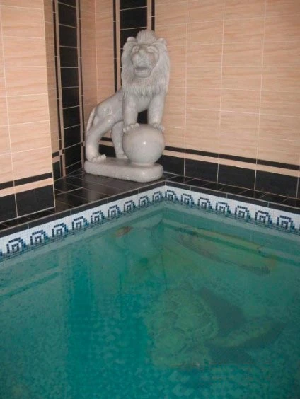 Баня Со Львом — сауны и бани Харькова